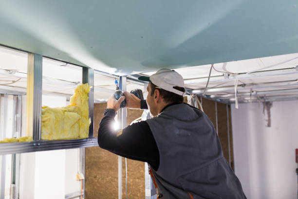 Best Cellulose Insulation in Kennett, MO